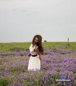 DonnaDixon stripchat livecam show performer room profile