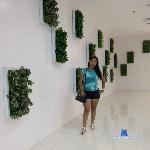 SeductiveAsian69 stripchat livecam show performer room profile