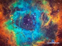 ValeryWatson stripchat livecam performer profile