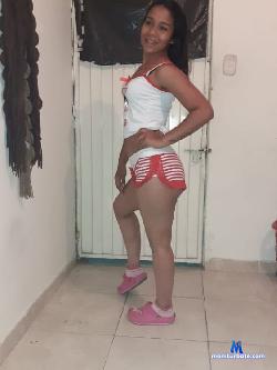 MISCHELL_AGNES stripchat livecam performer profile
