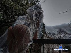 anna_sweet88 stripchat livecam performer profile