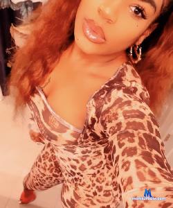 stripprincess stripchat livecam performer profile
