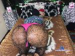 xcuteass4ux stripchat livecam show performer room profile