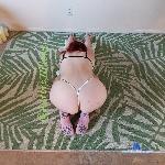 AuroraWillows stripchat livecam show performer room profile