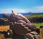 chloereina stripchat livecam show performer room profile