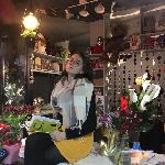 MonicaFoster stripchat livecam show performer room profile