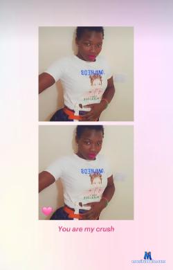 shelyne stripchat livecam performer profile