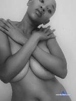 Ladyinbald stripchat livecam show performer room profile