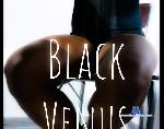 Black_venus1 stripchat livecam show performer room profile