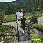 Allyson_Smith stripchat livecam show performer room profile