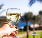 ScarletDavis_ stripchat livecam show performer room profile