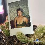 Dakotalove20 stripchat livecam show performer room profile