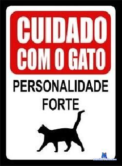 gaticafiera stripchat livecam performer profile