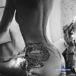 Bastet stripchat livecam show performer room profile