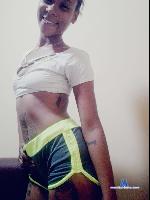 yairanikol stripchat livecam show performer room profile