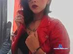 RainbowAlex2 stripchat livecam show performer room profile