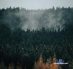 NursedWorks stripchat livecam show performer room profile