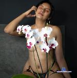 MiaPortmann stripchat livecam show performer room profile