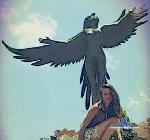 rachel_adams_ stripchat livecam show performer room profile