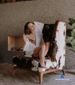 beverly_frank stripchat livecam show performer room profile