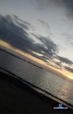 Rosespsicho stripchat livecam show performer room profile