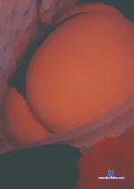 Shhh96 stripchat livecam show performer room profile