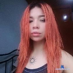 PriscilaHoffman stripchat livecam performer profile