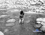 LaraCasey_ stripchat livecam show performer room profile