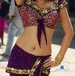 aaliyasexyhot stripchat livecam show performer room profile