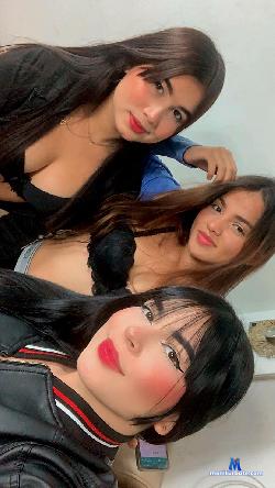 PinkPussies- stripchat livecam performer profile