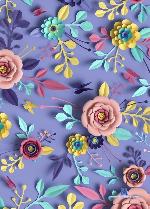 nikydoll_ stripchat livecam show performer room profile