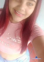 MAFE_ stripchat livecam show performer room profile