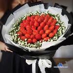 iam-sexy-girl stripchat livecam show performer room profile