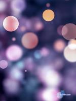 _cataleya stripchat livecam show performer room profile