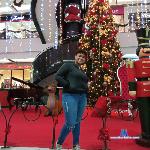 youngnaughty-1 stripchat livecam show performer room profile