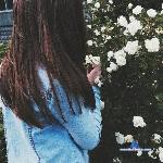 AshleyWolf stripchat livecam show performer room profile