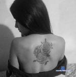 melodyrosse stripchat livecam show performer room profile