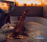 RobertaWills stripchat livecam show performer room profile