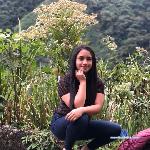 sofia_harrison stripchat livecam show performer room profile