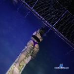 canelahot7 stripchat livecam show performer room profile