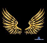 Giin_Doll stripchat livecam show performer room profile