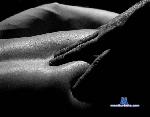Wild6_9wind stripchat livecam show performer room profile