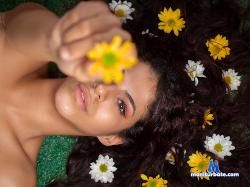 sabanafoxy stripchat livecam performer profile
