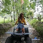 anahii_ stripchat livecam show performer room profile