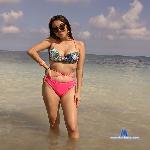 azulfox stripchat livecam show performer room profile