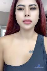 HorneyKitten stripchat livecam show performer room profile