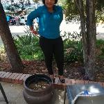 curvysexyebony stripchat livecam show performer room profile