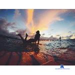 JessyCuteX stripchat livecam show performer room profile