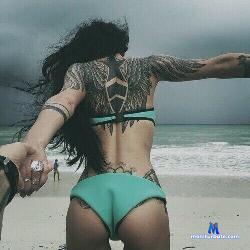 KatieGlum stripchat livecam performer profile
