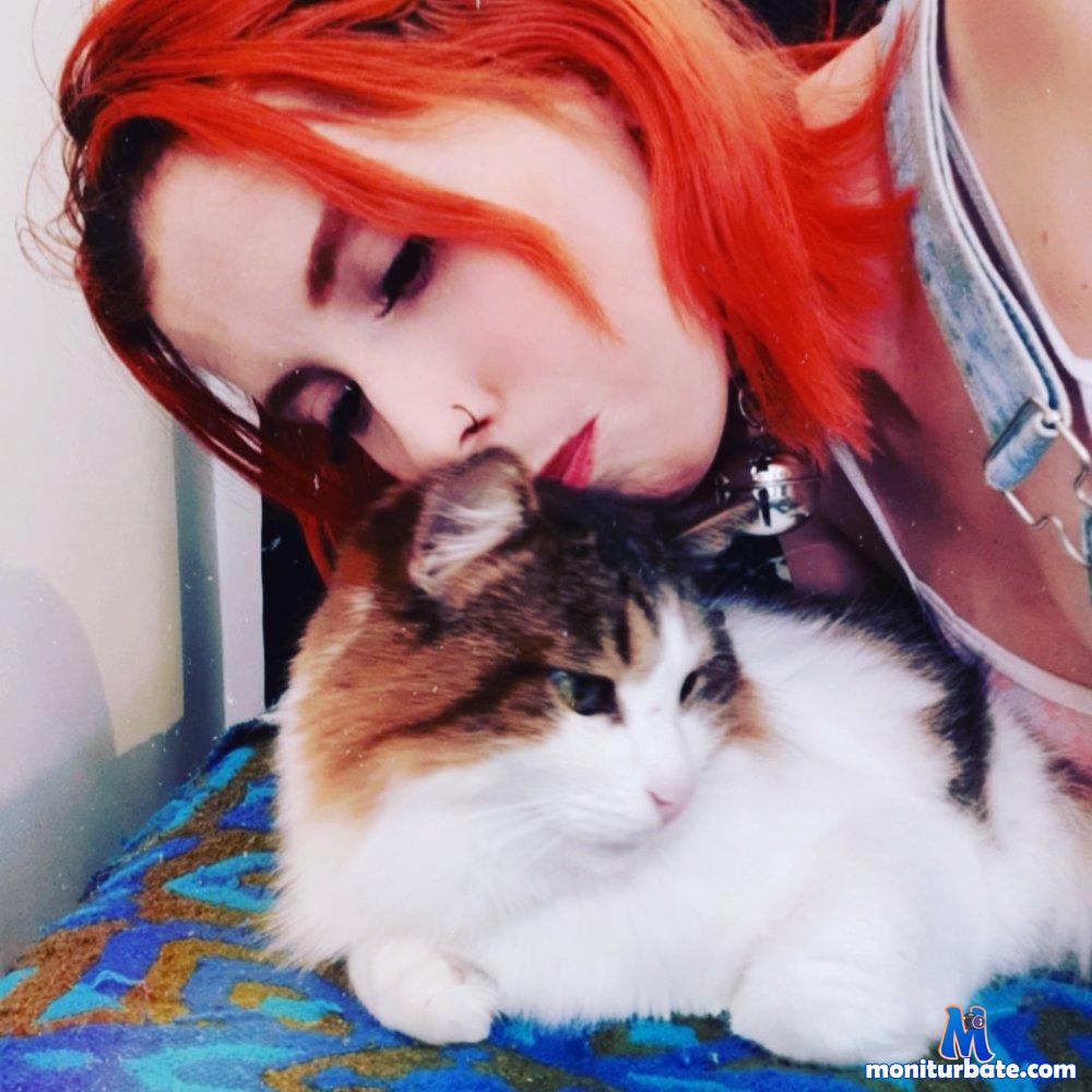 sweetfairy7 Stripchat performer tag Language Colombian tag Language Spanish Speaking girls age Young ethnicity Latino auto Tag Interactive Toy do Oil auto Tag Lovense do Squirt do Striptease do Fingering specific Shaven body Type Petite hair Color Red do Blowjob do Anal Plug do Dildo do Doggy Style subculture Student specific Small Tits private Price Sixteen To Twenty Four small Audience do Anal Beads auto Tag New hair Color Colorful